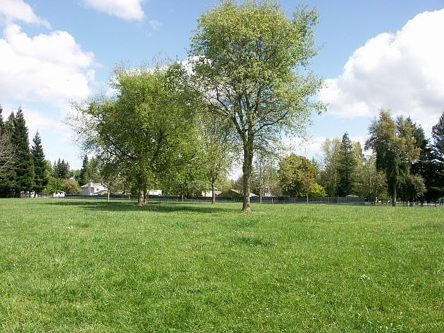 Park across street
