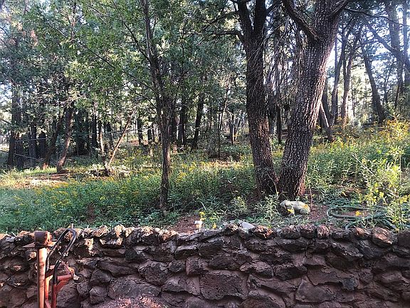 South side of property 