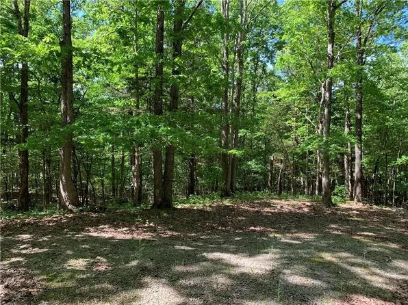 00 N Sassafras Hill Rd, Springdale, AR 72764