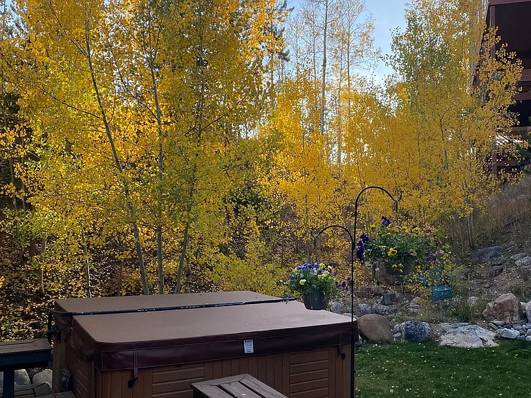 Private hot tub surrounded by mature aspens