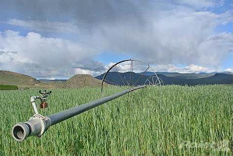 Irrigation system is new - designed to work with both the wells and irrigation water to ensure back up system.