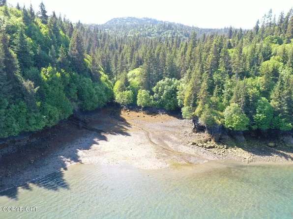 0 Halibut Cv, Homer, AK 99603