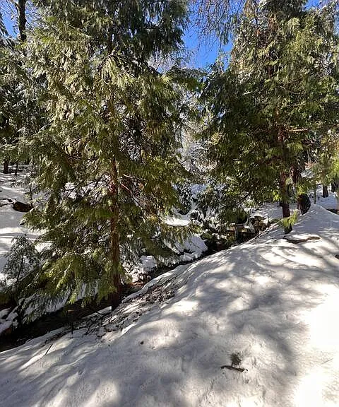 22053 Crystal Falls Dr W — Photo 26