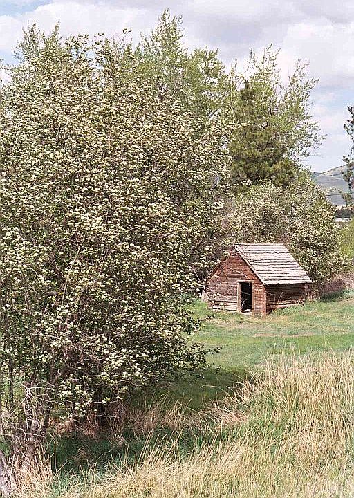 2nd image of 20501 Old Highway 93 S