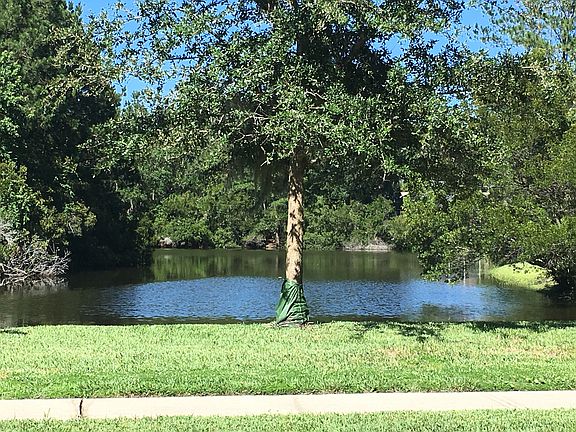 Pond a few steps from home