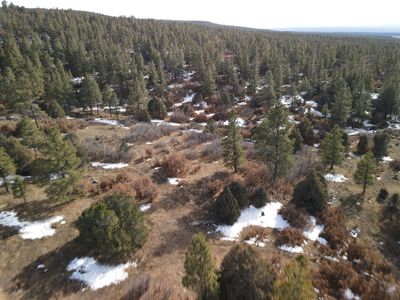 County Road 310, Cebolla, NM, 87518