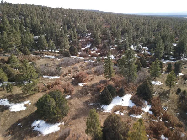 County Road 310, Cebolla, NM 87518