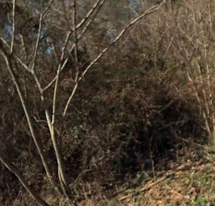 1st image of 985 Lake Dr