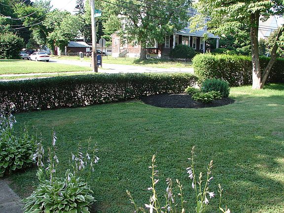 front yard