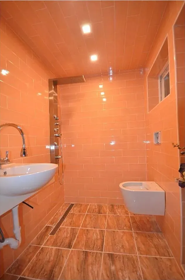 1 bed, $900 — Photo 2