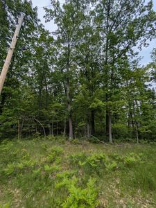 124 Brandywine Dr, Roscommon, MI, 48653