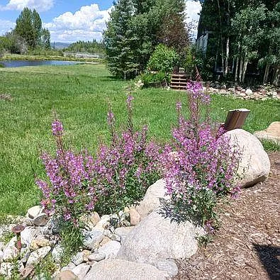 745 Quail Dr — Photo 28
