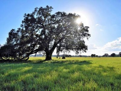 01 Family Ranch Dr, Brooksville, FL, 34604