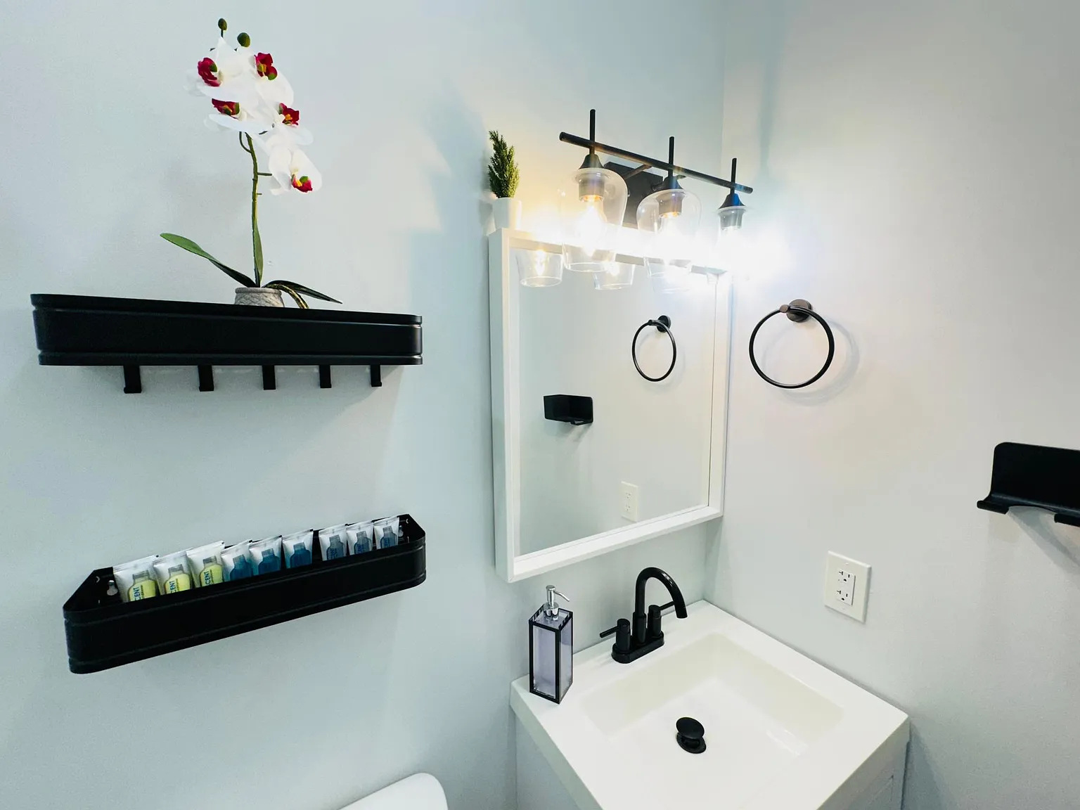 1 bed, 550 sqft, $1,350 — Photo 4