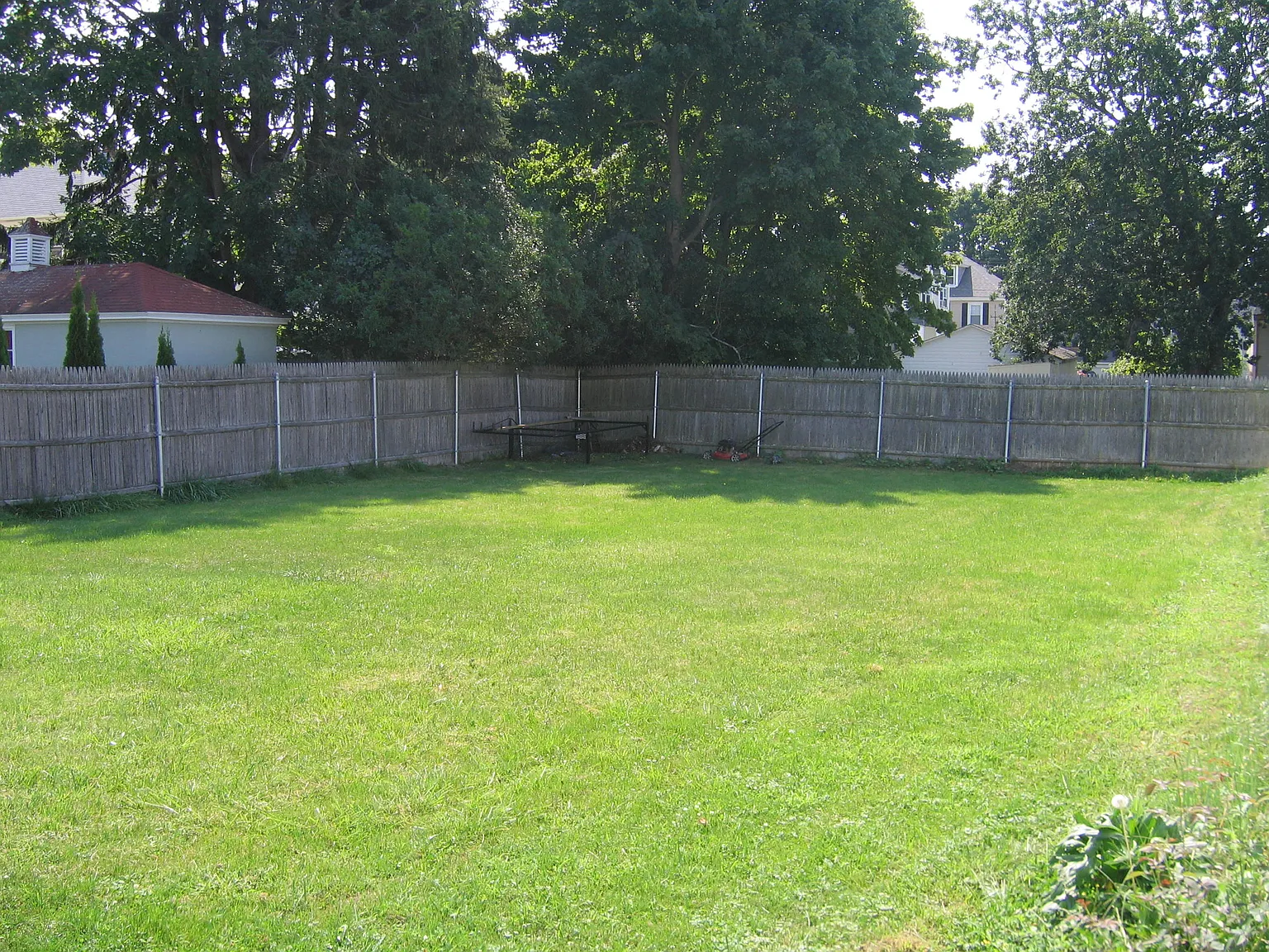4 bed, $1,250 — Photo 4