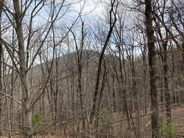 54 Teel Mountain Ln, Cleveland, GA 30528