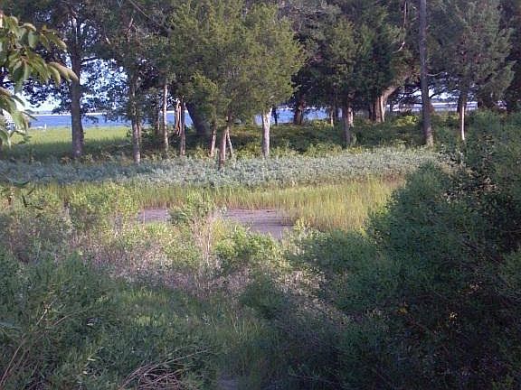 5th image of 524 E Moore Street LOT Tract 1 & 2