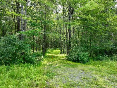 Lot 69 Cushetunk Drive, Cochecton, NY, 12726