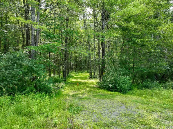 Lot 69 Cushetunk Drive, Cochecton, NY 12726