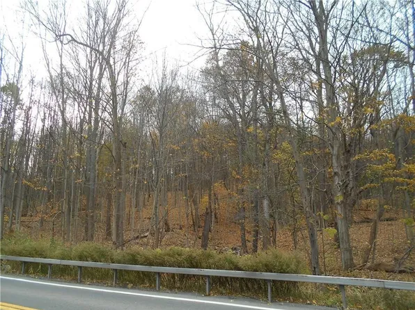 0 State Route 38, Scipio Center, NY 13147