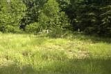 1st image of 5922 290th Ave SE