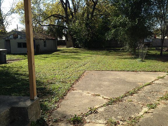 Back yard