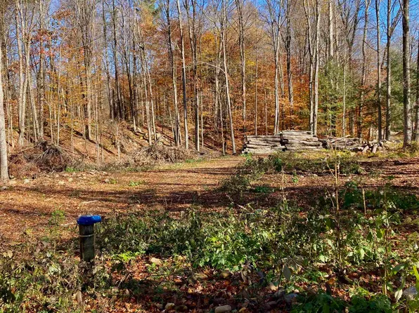 00 Lower Middle Road #11, Chittenden, VT 05763