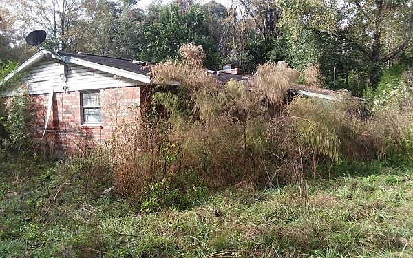 2nd image of 22921 136th St