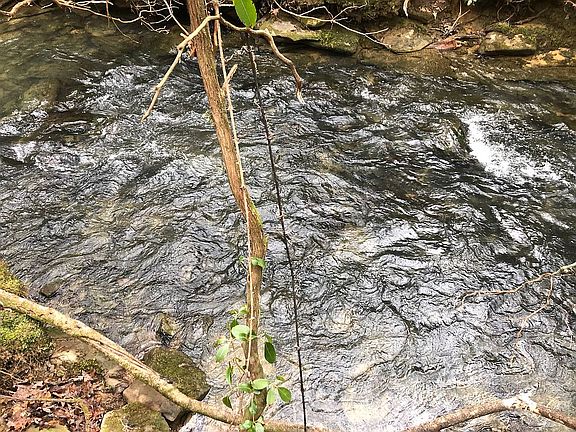 1200 feet of creek frontage 