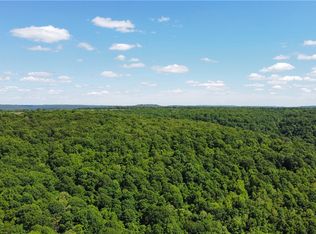 17659 S Skylight Mountain Rd, Canehill, AR 72717