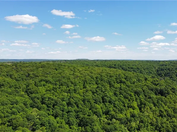 17659 S Skylight Mountain Rd, Canehill, AR 72717