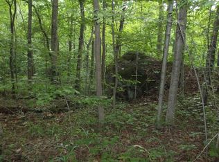 Dustin Creek Rd, Spring city, TN 37381