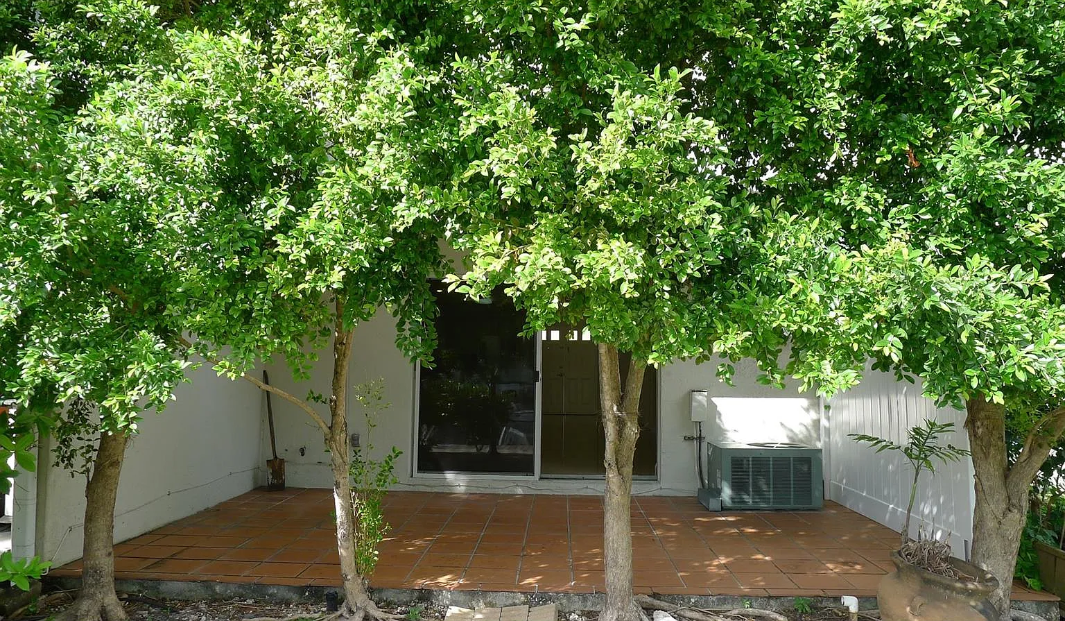 3 bed, 2.5 bath, 1590 sqft, $4,200 — Photo 4