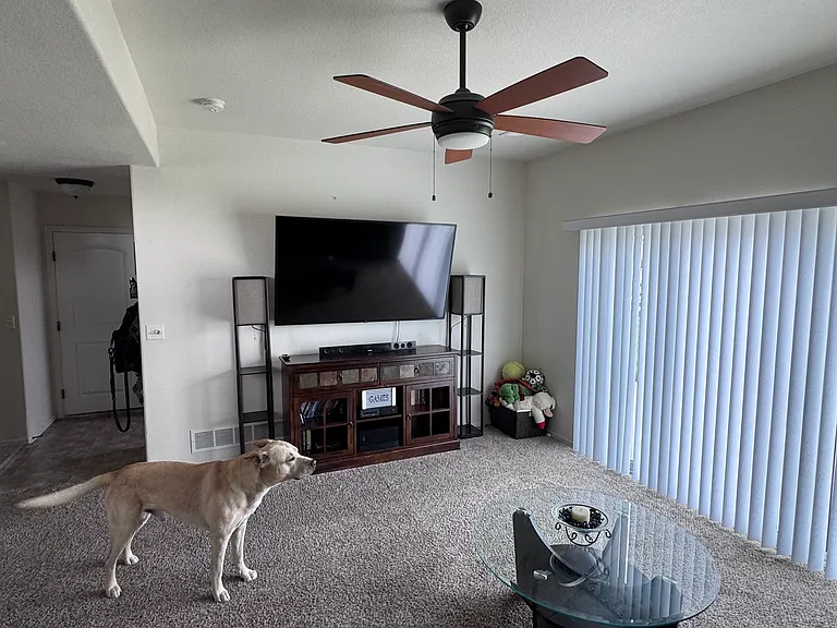 1502 New Season Dr — Photo 14