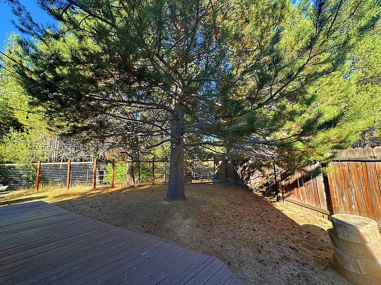 1413 Friant Dr — Photo 29