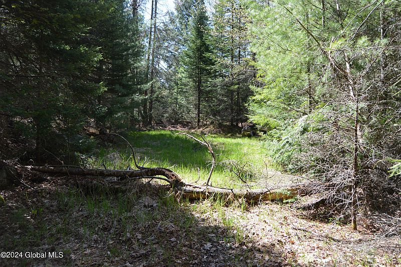 4th image of 00 Adirondack Heights Rd Lot 8