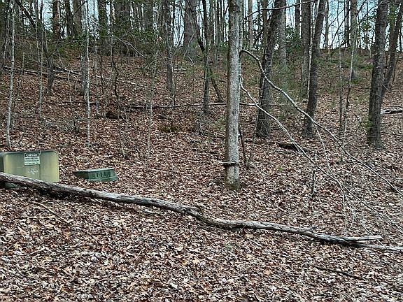 5th image of Mountain Laurel Dr