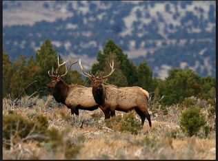 Edmond Dr. Sangre De Cristo Rnch, Fort Garland, CO 81133