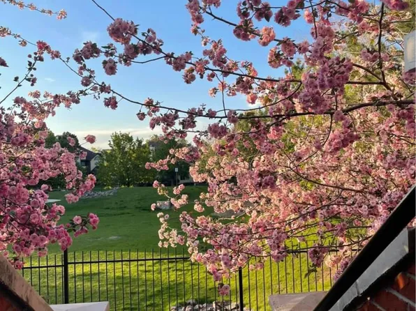 9871 E Carolina Pl, Denver, CO 80247