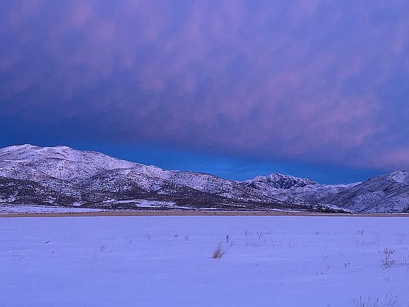 View to N of Buttercup Mtn.