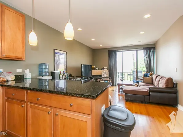 1618 S Halsted St, Chicago, IL 60608