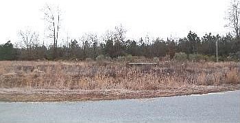 2nd image of 1531 Jasper Rd