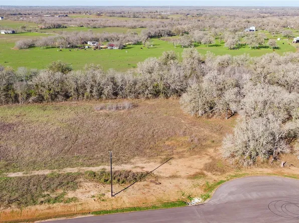 175 Azalea Ct, Dale, TX 78616