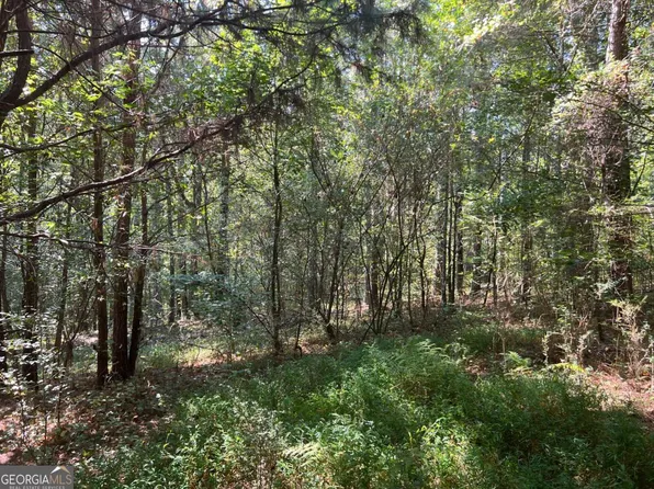 124 S Kelley St, Tallapoosa, GA 30176