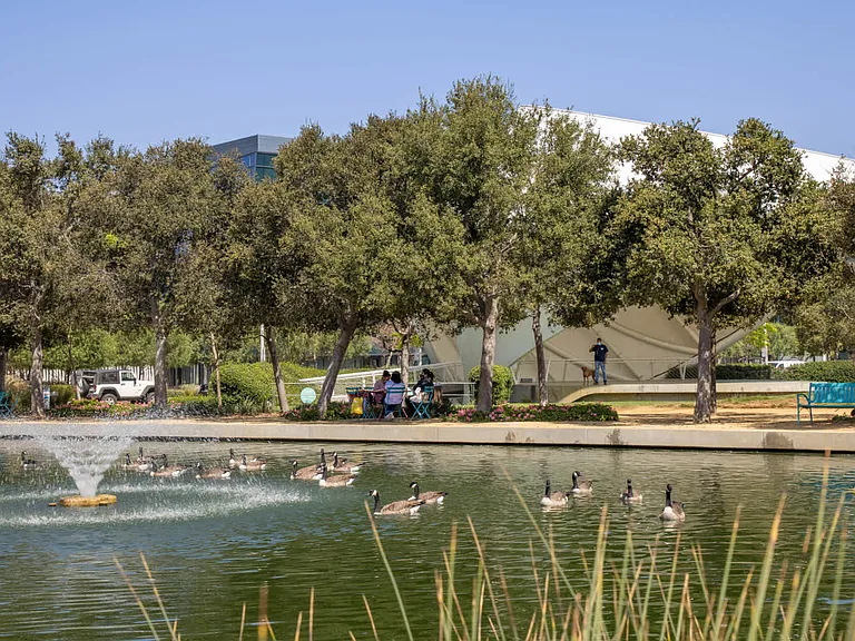 Enjoy some sunshine at Central Park, less than 2 miles away.