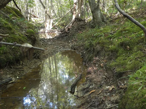 Cub Brown Rd, Sontag, MS 39665