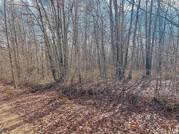 4th image of 0 Pigpen Hollow Rd Lot 36