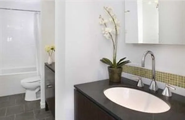 Rented by Douglas Elliman | media 25
