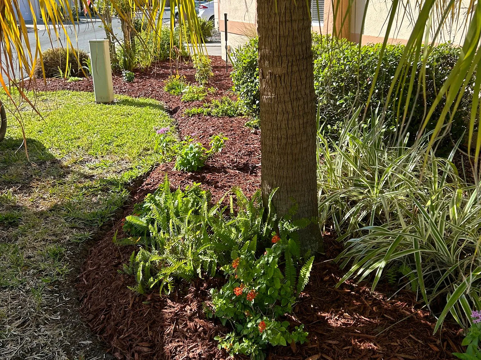 1201 Flores Ave — Photo 4