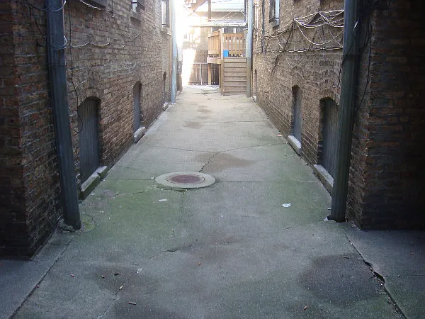 W Whipple St — Photo 5